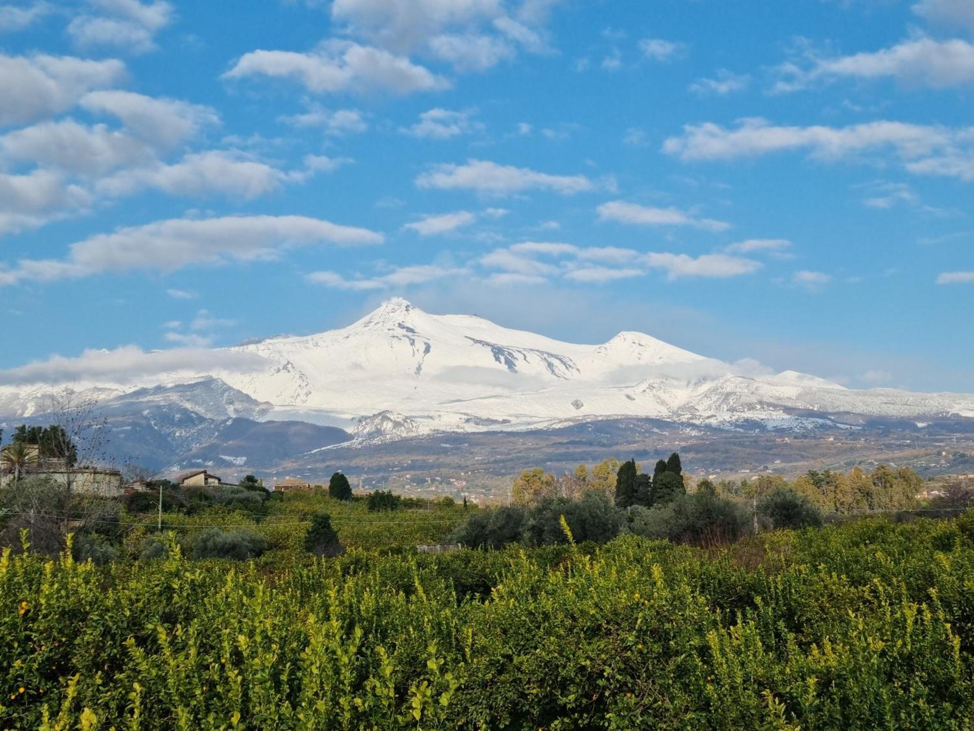 Luxury Historic Residence With Heated Pool Near Catania, Taormina, The Sea And Mount Etna Giarre Zewnętrze zdjęcie